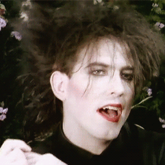 The Cure